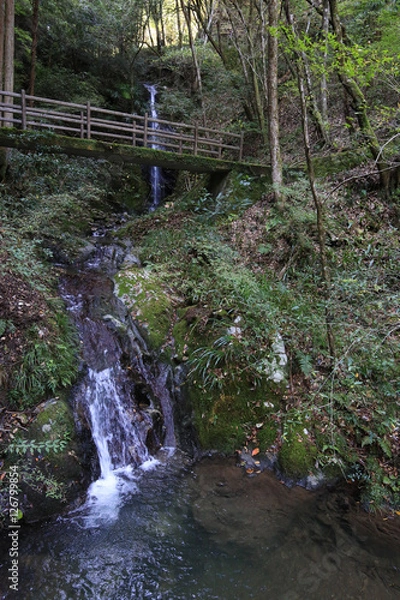 Fototapeta 愛媛県　三滝渓谷　トックリ淵上流の風景