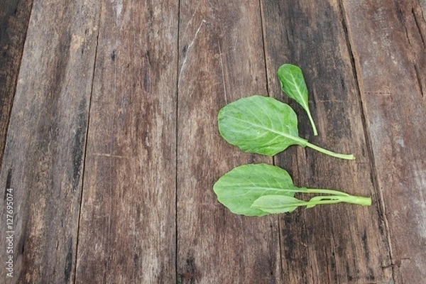 Fototapeta Chinese kale fresh vegetable on wooden table background, Top view