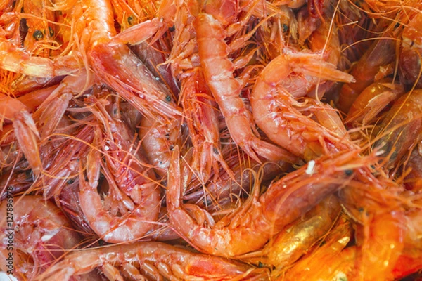 Fototapeta fresh shrimps on a fish market