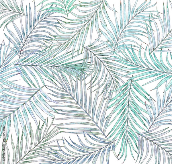 Obraz leaf of palm tree background