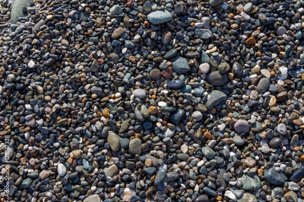 Fototapeta Texture of various size and shape different colored pebble stones