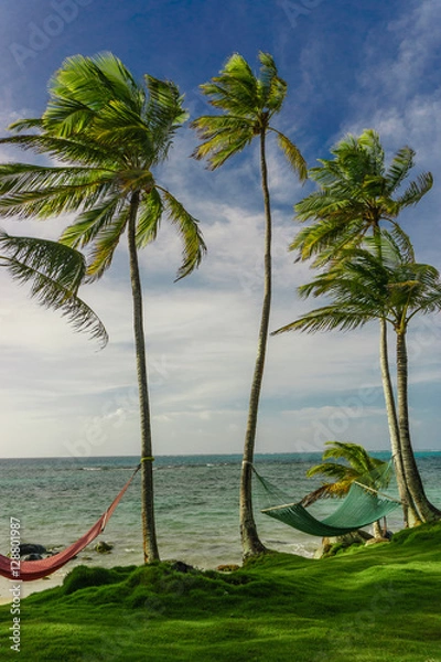 Fototapeta hammock in the shadow of the palm on the tropical beach