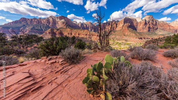 Fototapeta Dry trees on rock slopes. Scenic view of the canyon. The breathtaking views of the valley. Zion National Park, Utah, USA