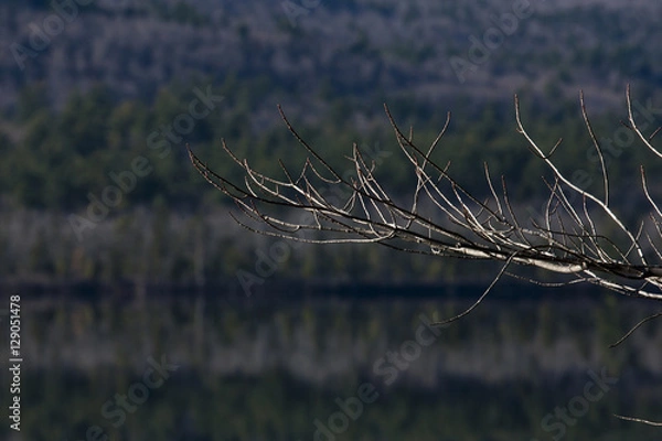 Fototapeta Chocorua