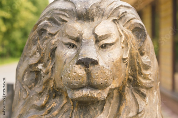 Fototapeta Brown statue of lion. Head, close-up