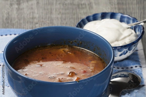 Fototapeta Russian cabbage soup (Shchi)