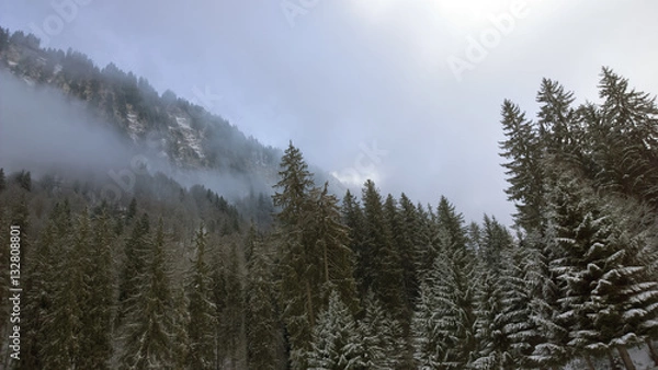 Fototapeta Snowy winter trees and cliffs of the french alps