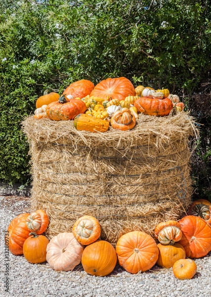 Fototapeta Pumpkins on straw bale