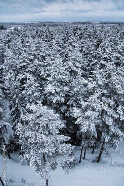 Fototapeta A beautiful winter landscape in nordic Europe in gray, overcast day - a view from watchtower