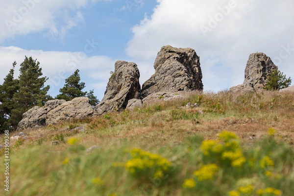 Fototapeta Teufelsmauer-Stieg Harz