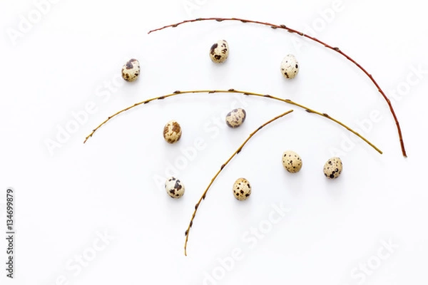 Fototapeta a few quail eggs and willow twigs on white background.