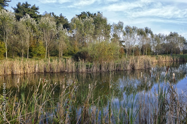 Fototapeta Grugnotorto park (Brianza, Italy)