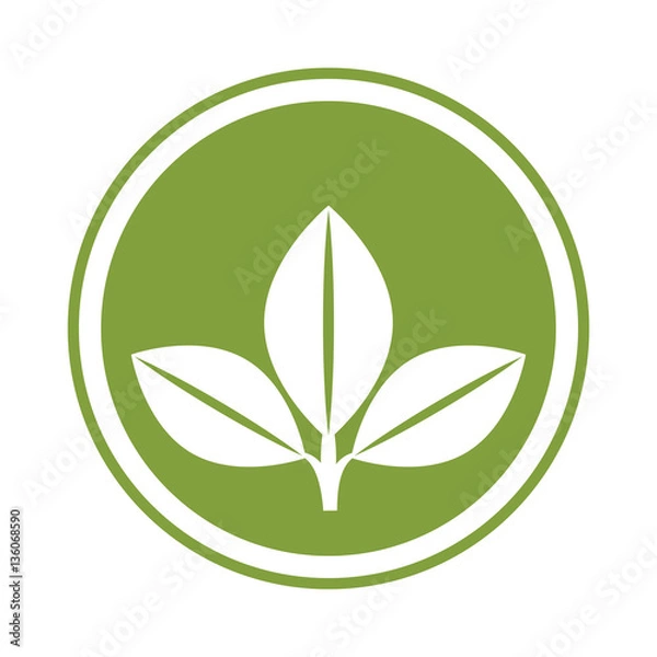 Fototapeta leafs plant isolated icon vector illustration design