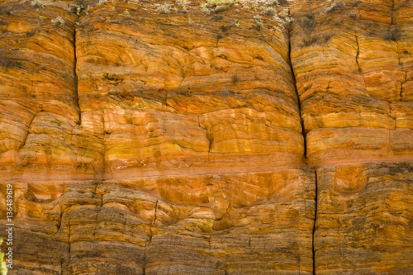 Fototapeta Zion mountains and cliffs with trees growing out of rocks