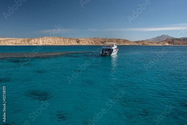 Fototapeta White yacht in the Red sea with blue water