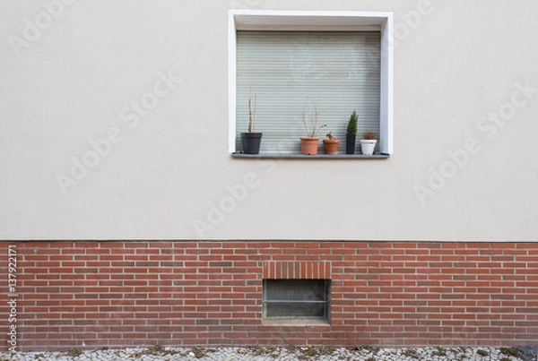 Fototapeta Facade with With Roller Shutter Window and Plants