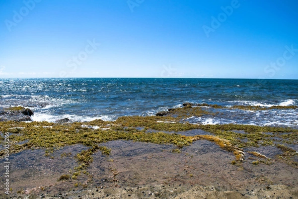 Fototapeta Tropical Seashore. Island and waves