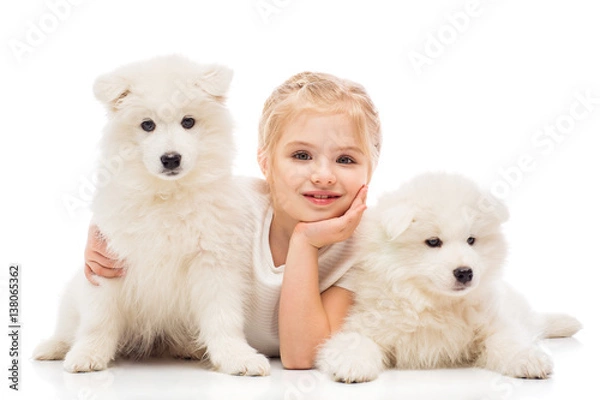 Fototapeta Little girl with a samoyed puppies