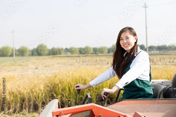 Fototapeta young asian woman agronomist in golden field