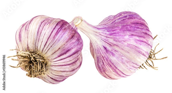 Fototapeta garlic isolated on white