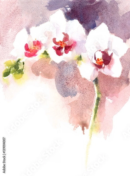 Fototapeta Watercolor Orchid Flower Hand Painted Floral Illustration