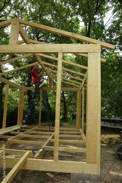 Fototapeta construction d'un chalet dans les bois