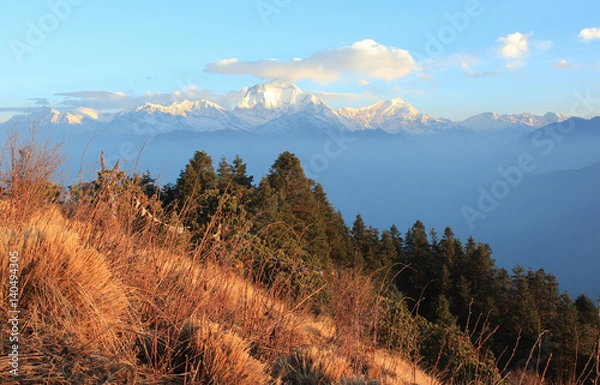 Fototapeta dawn in the mountains of Nepal,morning light Annapurna