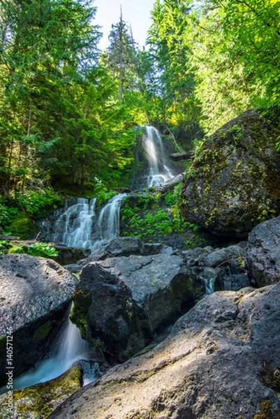 Obraz Mt Rainier