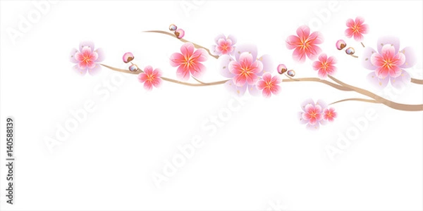 Fototapeta Branch of Sakura isolated on white background. Apple-tree flowers. Cherry blossom. Vector 
