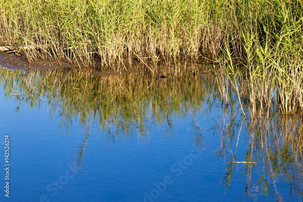 Fototapeta foce dell'ofanto,  Puglia   