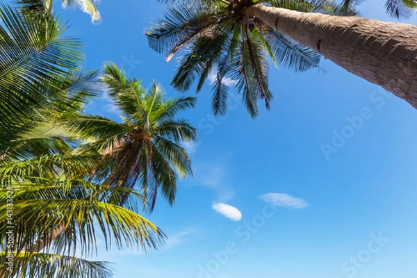 Fototapeta Tropical beach