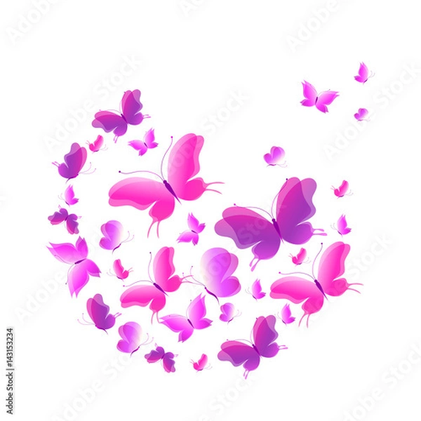 Fototapeta beautiful pink butterflies, isolated  on a white