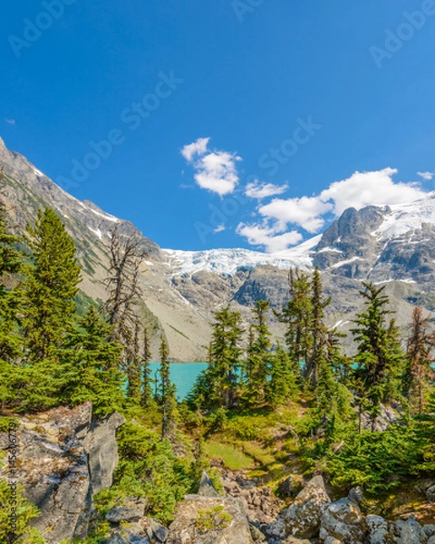 Fototapeta Majestic mountain lake in Canada. Upper Joffre Lake Trail View.