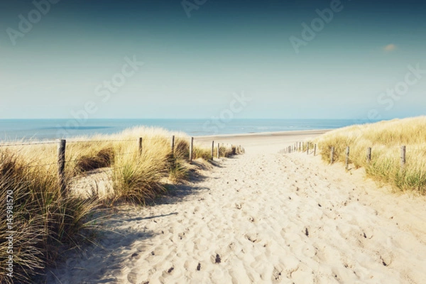 Fototapeta Piaszczyste wydmy na wybrzeżu w Noordwijk, Holandia, Europa.