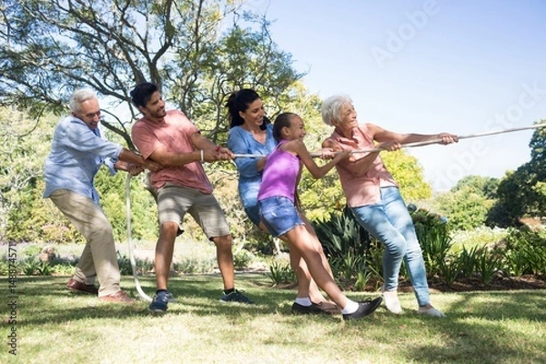 Fototapeta Family playing tug of war in the park