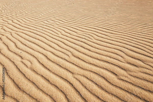 Fototapeta Lines in the sand of a beach, close up