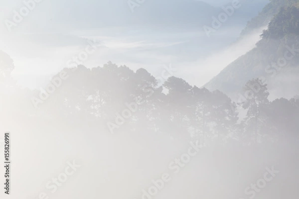 Fototapeta Natural morning scene with fog on hill