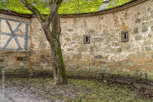 Fototapeta Mittelalterliche Stadtmauer mit einem einsamen Baum