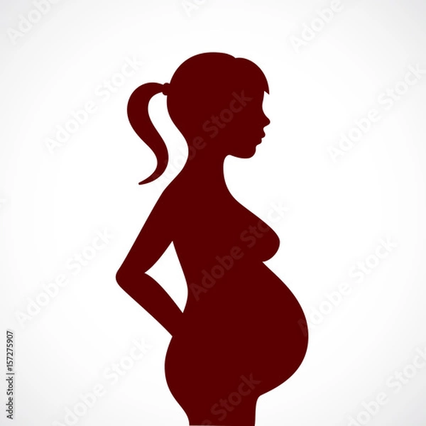 Fototapeta Pregnant woman vector illustration