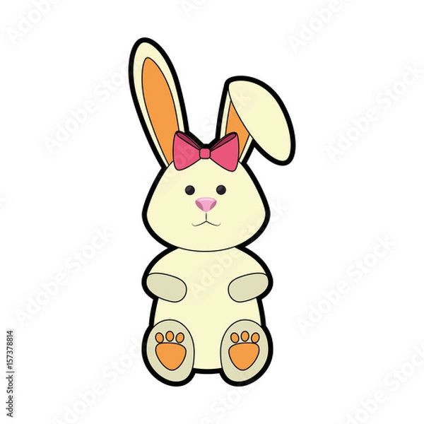 Fototapeta bunny animal nature vector icon illustration graphic design