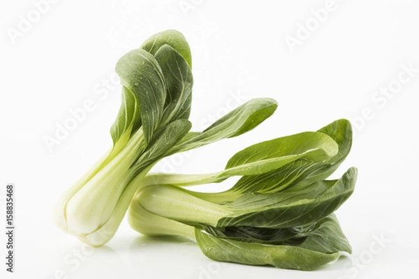 Obraz frischer Pak Choi – Shanghai-Senfkohl 