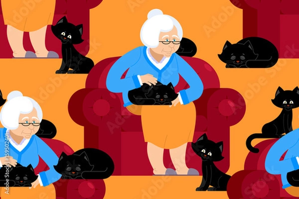 Fototapeta Cat lady pattern. Grandmother and cat sitting on chair pattern. granny ornament . grandma and pet background. old woman and animal. gammer and Beast texture