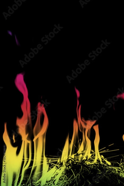 Fototapeta  Abstract multicolored Fire flames