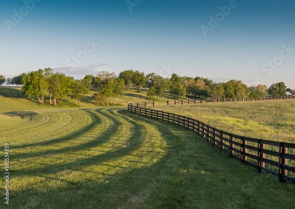 Fototapeta Black Horse Farm Fence and Shadows Wind