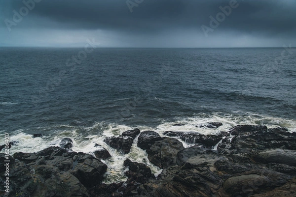 Fototapeta Overcast day at a rocky coast.