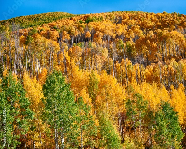 Fototapeta Fall at McClure Pass, Colorado