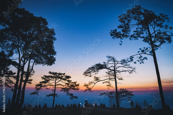 Fototapeta Silhouette people and pine trees with sunrise scene in Phu Kradueng National Park, Thailand.