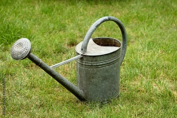 Fototapeta Old metal watering can on the lawn