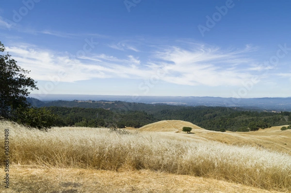 Fototapeta Pepperwood Preserve is a 3117 acre conservation area and nature preserve.