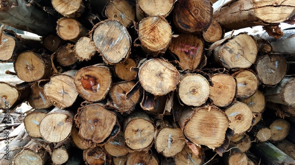 Fototapeta Stacked wood pine timber for construction buildings Background